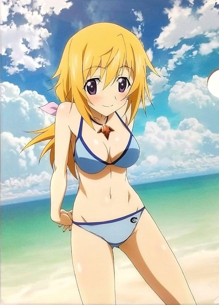 Amazon.co.jp: IS インフィニットストラトス シャルロット 水着